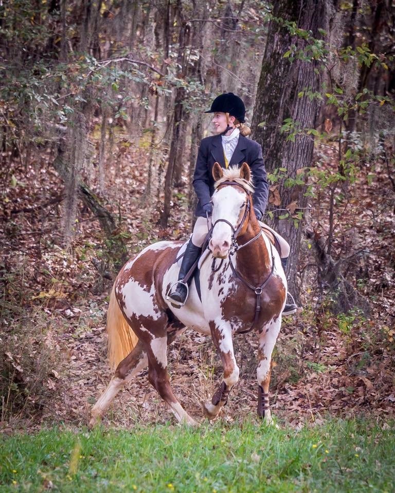 A rider on a paint horse hacking through the autumn woods